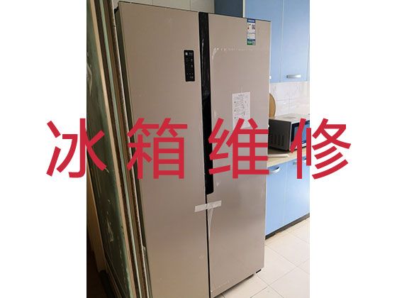 淮南市电冰箱维修服务价格|冰柜加氟维修，附近冰箱维修快速上门