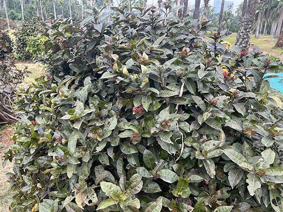 如何将多个平台的个人收款码合并管理，有没有便捷方法？