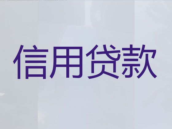 萍乡市小额银行信用贷款，抵押担保贷款公司