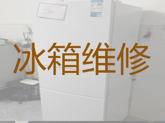 湘潭市专业冰箱维修上门服务电话|家用电器维修服务，附近维修师傅快速上门