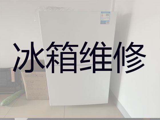 信阳市专业电冰箱维修上门服务电话|冰箱冰柜维修公司，收费合理