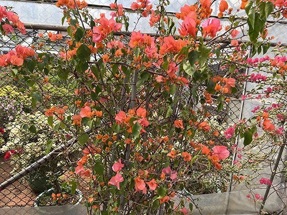 如何区分真正的勤奋努力与陷入内卷化忙碌的虚假充实感？