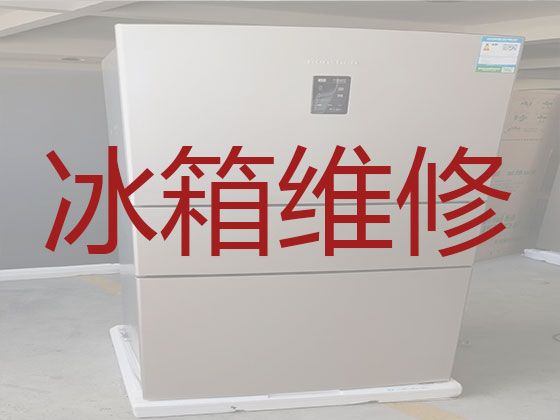 宁波市电冰箱加氟维修-冰箱冰柜不制冷上门维修，收费合理