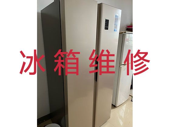 马鞍山电冰箱维修服务价格|专业冰柜维修上门服务，收费合理，效率高