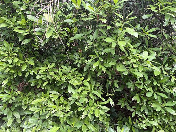 如何根据家庭人数合理规划年货数量避免浪费？