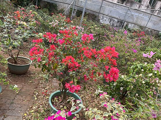 鸡蛋储存多久后就不算新鲜了？教你计算保鲜期的小技巧