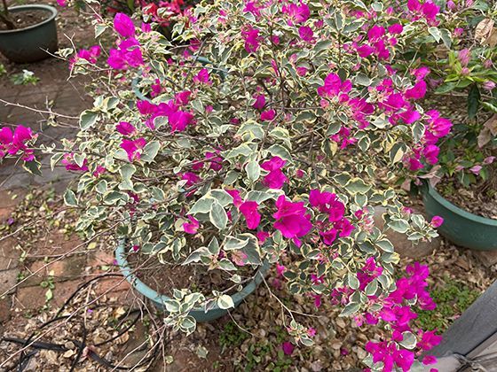 极限漂流筏的结构：激流中筏体如何通过材质设计化解冲击力