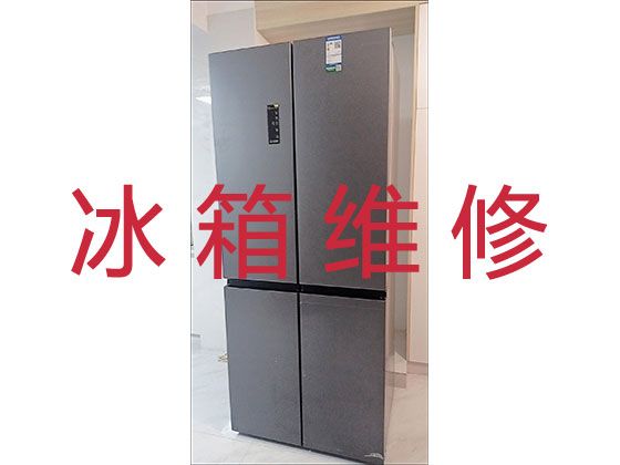 柳州市电冰箱故障上门维修-冰柜不通电上门维修，附近冰箱维修快速上门
