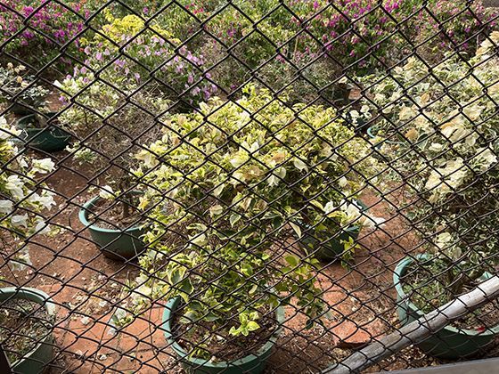 《利刃出鞘3》名场面：晚餐时红酒杯集体下毒，众人昏迷后发现遗嘱被篡改，凶手就在“醒来的人”中