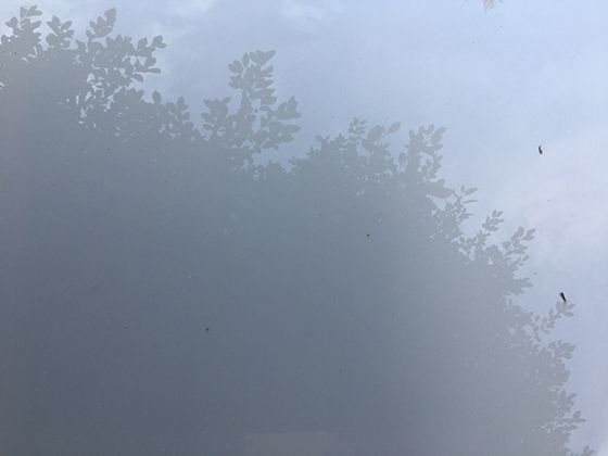 巨口鲨的迁徙之谜：跨学科解读海洋生态与气候变化的紧密联系