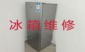 深圳市冰箱故障维修上门服务|冰柜不通电上门维修，24小时服务电话