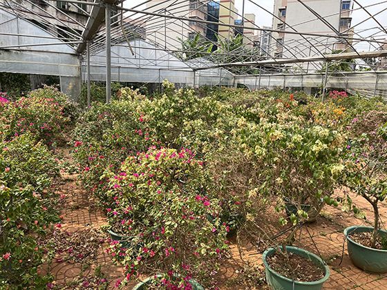 如何在尊重个人口味偏好的前提下，引导扩展食物选择范围？