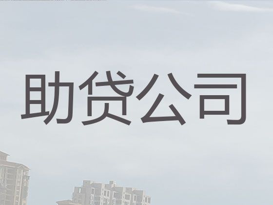 成都市大邑县王泗镇个人生意银行信用贷款，利息低，流程简单