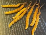 滁州市回收冬虫夏草价格-收购虫草