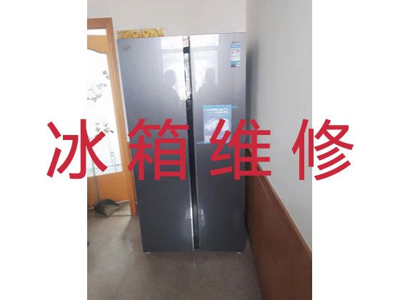 南宁市电冰箱维修上门服务价格-冰箱冰柜漏水漏电上门维修服务，快速上门