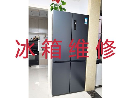 蚌埠市电冰箱故障维修服务-冰箱冰柜不通电上门维修，收费合理