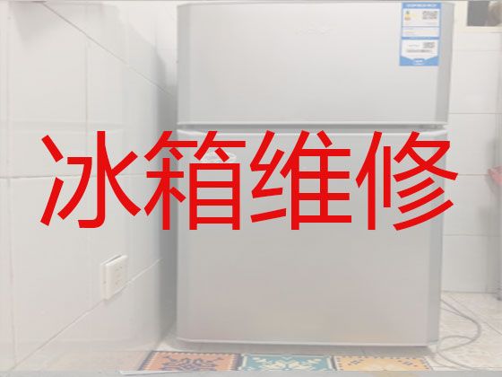 枣庄市电冰箱维修保养|冰箱冰柜不通电维修，专业冰箱维修师傅，快速上门