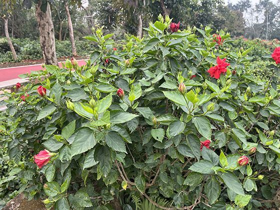 未来几年，哪些通用型能力将成为个人发展的关键基石？