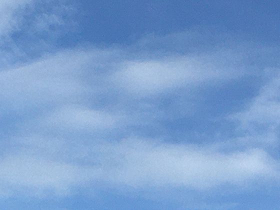 工笔与写意的区别：带你了解中国书画两大流派的艺术特点与魅力