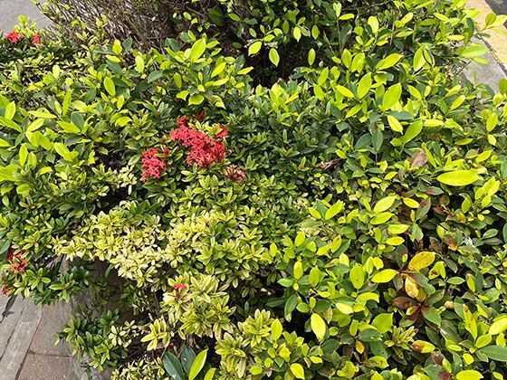 2026年，在城市光污染下如何有效观测并定位北极星？