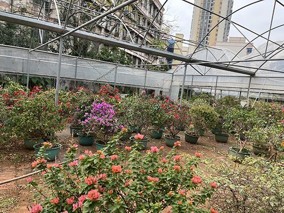 艺术中的茄子形象：从浮世绘到静物画，看其如何成为创作题材