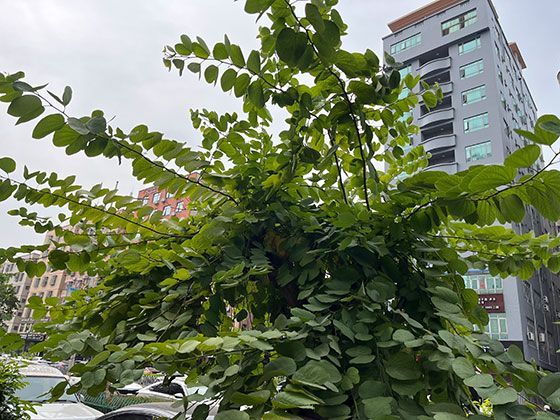 2026年婚恋市场呈现哪些新趋势？理性与多元并存成为主流