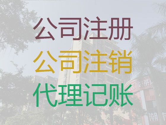 益阳市财务公司代记账|企业内审年审查账