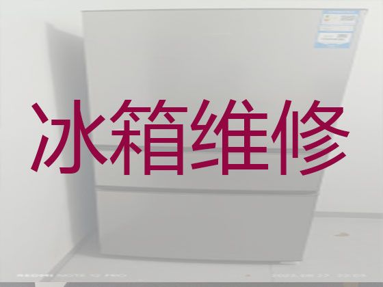 天津市电冰箱维修服务电话-冰箱冰柜不通电上门维修服务，收费透明，效率高