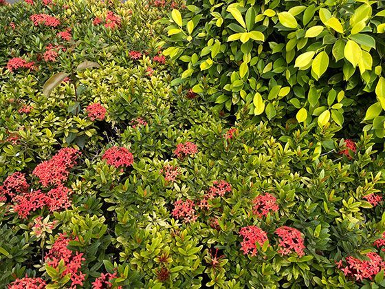 当购买商品出现质量问题时购物小票作为凭证的法律效力