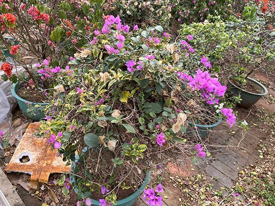 家庭选用空气能或太阳能辅助供暖需要考虑哪些实际条件？