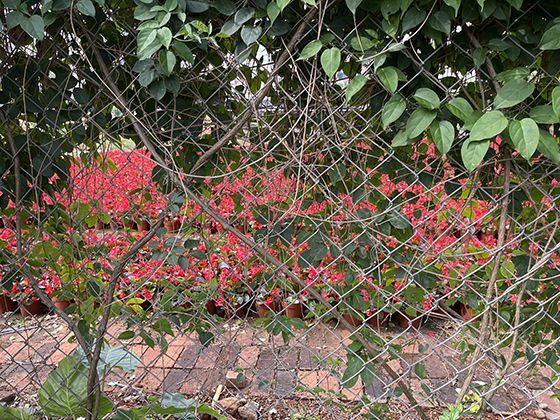 2026年公积金跨省通办服务，是否涵盖了主要提取业务类型？