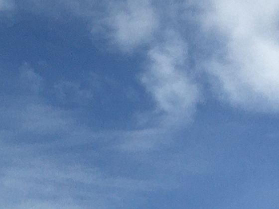 探索蛔虫的生存环境与生命周期，了解其对人体消化系统可能产生的影响