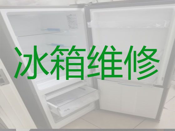 柳州市专业冰箱维修师傅-冰柜维修保养，收费合理