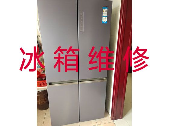 漳州市电冰箱维修服务公司-家用电器维修服务，收费透明