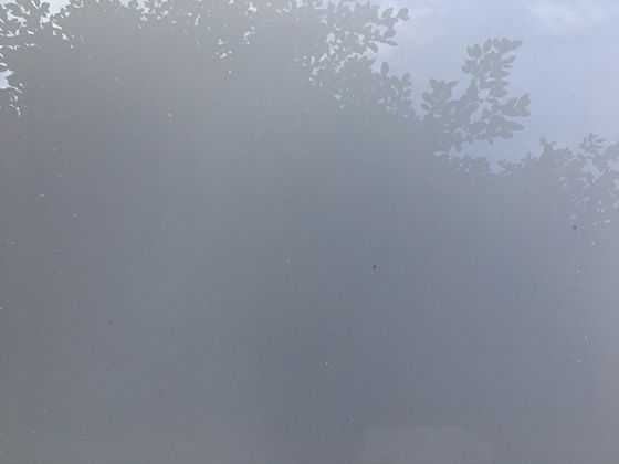 玉米基因组测序成果：解读这种重要作物的遗传密码特征