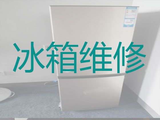 广州市冰箱加冰维修服务-冰箱冰柜不通电维修，1小时快修,24小时在线!