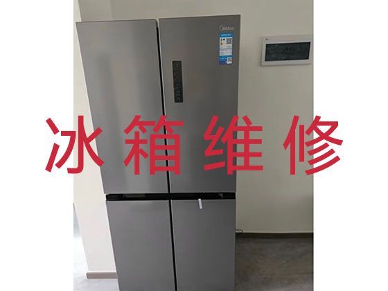 潍坊市电冰箱故障上门维修服务|冰箱冰柜加冰种维修，快速上门服务